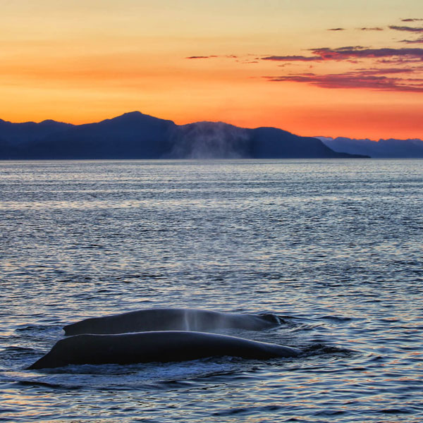 Remote Alaska Adventure