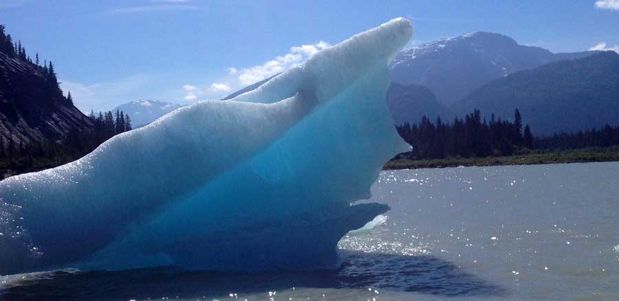 Stikine River Alaska vacation