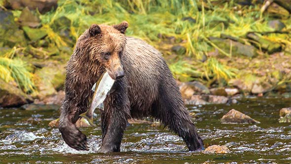 Lindblad National Geographic
